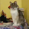 Отзыв от Ирина Медведева
